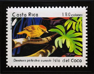 Costa Rica bird species